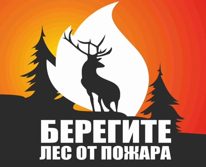 Берегите лес!.